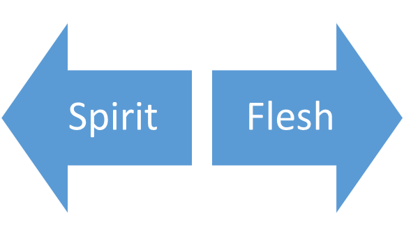 Image result for flesh vs spirit